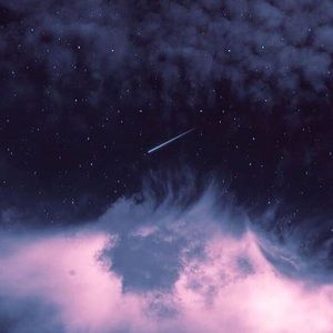 Meet your Posher, Elise